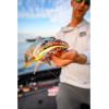 imageBerkley Gulp Alive Minnow Smelt Length3quot 112 Oz