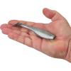 imageBerkley Gulp Paddleshad Fishing Bait Green Shiner 5in Extreme Scent Dispersion Realistic Baitfish Profile Ideal for Bass Trout Walleye Pike and More