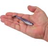 imageBerkley Gulp Paddleshad Fishing Bait Purple Shiner 4in Extreme Scent Dispersion Realistic Baitfish Profile Ideal for Bass Trout Walleye Pike and More