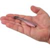 imageBerkley Gulp Paddleshad Fishing Bait Rainbow Trout 4in Extreme Scent Dispersion Realistic Baitfish Profile Ideal for Bass Trout Walleye Pike and More
