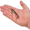 imageBerkley Gulp Paddleshad Fishing Soft BaitBlack Gold