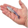 imageBerkley Gulp Paddleshad Fishing Soft BaitOpening Night