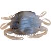 imageBerkley Gulp Peeler Crab Saltwater Fishing Soft BaitAmber Glow