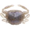 imageBerkley Gulp Peeler Crab Saltwater Fishing Soft BaitMolting