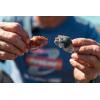 imageBerkley Gulp Peeler Crab Saltwater Fishing Soft BaitNew Penny