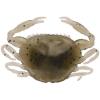 imageBerkley Gulp Peeler Crab Saltwater Fishing Soft BaitNew Penny