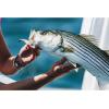 imageBerkley Gulp Pogy New Penny 3Inch