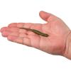 imageBerkley Gulp SR Crawler Fishing Soft BaitGreen Pumpkin