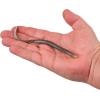 imageBerkley Gulp SR Crawler Fishing Soft BaitSmelt