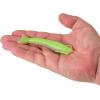 imageBerkley Gulp Saltwater Shrimp Fishing Soft BaitKey Lime Chrome