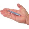 imageBerkley Gulp Saltwater Turbo ShrimpAmerica