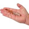 imageBerkley Gulp Saltwater Turbo ShrimpNew Penny