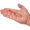 imageBerkley Gulp Saltwater Turbo ShrimpNew Penny
