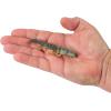imageBerkley Gulp Saltwater Turbo ShrimpPearl White