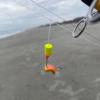 imageBerkley Gulp Surf Bytes Strips Fishing Soft BaitBlue Fuze