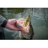 imageBerkley PowerBait MaxScent Crud CrawPeanut Butter and Jelly