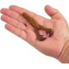 imageBerkley PowerBait MaxScent Crud CrawPeanut Butter and Jelly