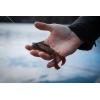 imageBerkley PowerBait MaxScent Crud CrawPeanut Butter and Jelly