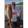 imageBerkley PowerBait MaxScent DWormSmoke Black Purple