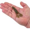 imageBerkley PowerBait MaxScent StankBug Fishing Soft BaitGreen Pumpkin