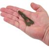 imageBerkley PowerBait MaxScent StankBug Fishing Soft BaitGreen Pumpkin