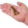 imageBerkley PowerBait MaxScent StankBug Fishing Soft BaitGreen Pumpkin Magic