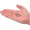 imageBerkley PowerBait Power Switch Fishing Soft BaitHD Blacknose Shiner