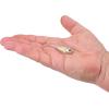 imageBerkley PowerBait Power Switch Fishing Soft BaitSilver Bullet