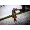 imageBerkley PowerBait Pro Twitchtail Minnow Fishing Bait Chartreuse Black FleckOrange 3in  8cm Irresistible Scent ampamp Flavor Realistic Profile Ideal for Bass Walleye Trout and More