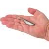 imageBerkley PowerBait Saltwater Bonga Shad Fishing Soft BaitHD Pinfish