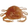 imageBerkley Gulp Peeler Crab Saltwater Fishing Soft BaitAmber Glow