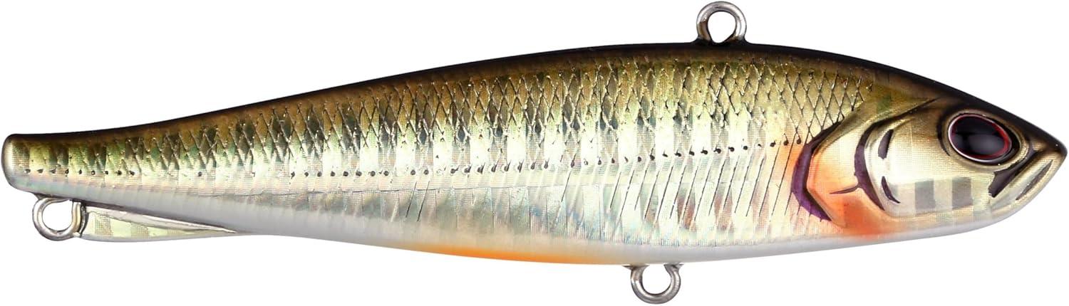 imageBerkley RipfishDark Shiner