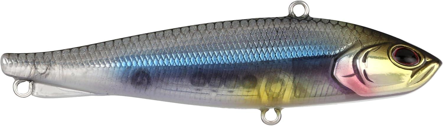 imageBerkley RipfishMinnowsota