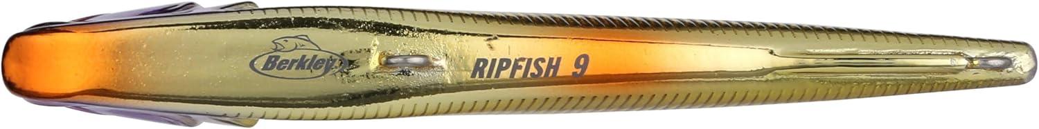 imageBerkley RipfishViking Perch