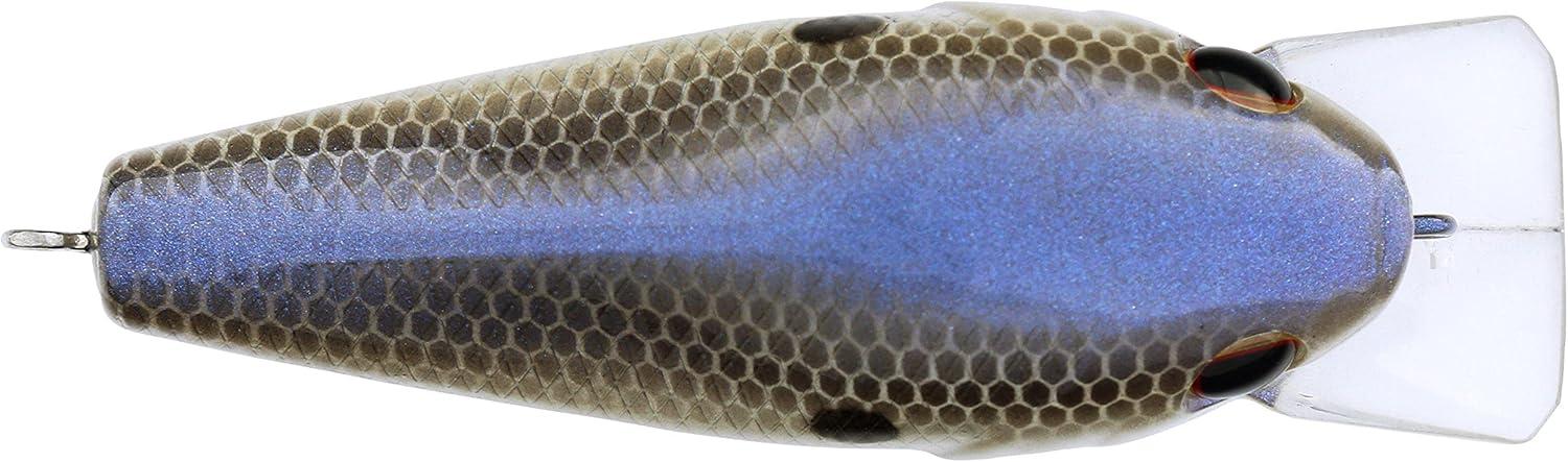 imageBerkley SquareBull Fishing Hard Bait