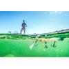 imageBerkley Cane Walker Topwater Fishing Lure CJ Shad 56 oz 125mm Topwater Heavy Tail Weight for LongDistance Casting Equipped with Fusion19 Hook