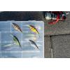imageBerkley FFSHFiretail Chrome Candy