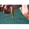 imageBerkley FFSHHD Bluegill