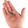 imageBerkley Flicker Shad JointedFiretail Green Craw