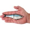 imageBerkley PowerBait Chop Block Fishing Soft BaitHitch