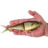 imageBerkley PowerBait Chop Block Fishing Soft BaitMatte Shellcracker