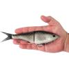 imageBerkley PowerBait Chop Block Fishing Soft BaitShad
