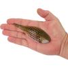 imageBerkley PowerBait MaxScent FluxGillBluegill