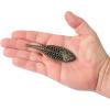 imageBerkley PowerBait MaxScent FluxGillTonic