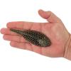imageBerkley PowerBait MaxScent FluxGillTonic