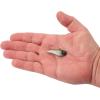 imageBerkley PowerBait Power VibeDirty Dime