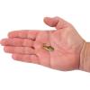 imageBerkley PowerBait Power VibeGold Chrome
