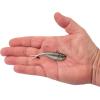 imageBerkley PowerBait Power VibeHD Blacknose Shiner