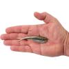 imageBerkley PowerBait Power VibeHD Blacknose Shiner