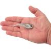 imageBerkley PowerBait Power VibeSilver Bullet